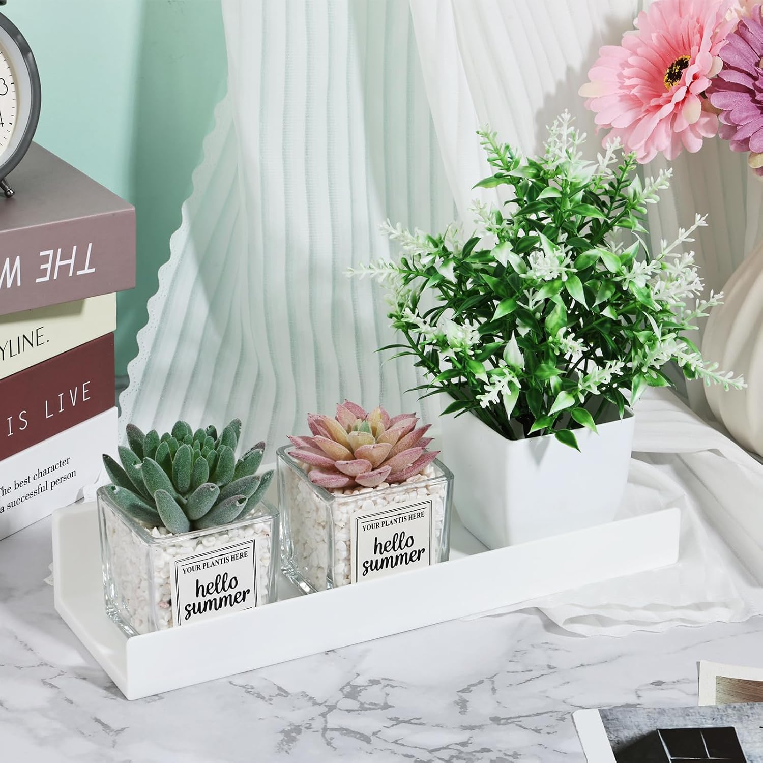 Rainmae 2 Pcs Floating Window Shelves for Plants