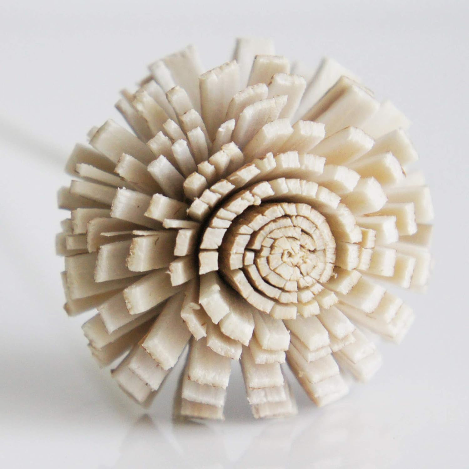 10 Buttercup Sola Flower Reed Diffusers for Home Fragrance