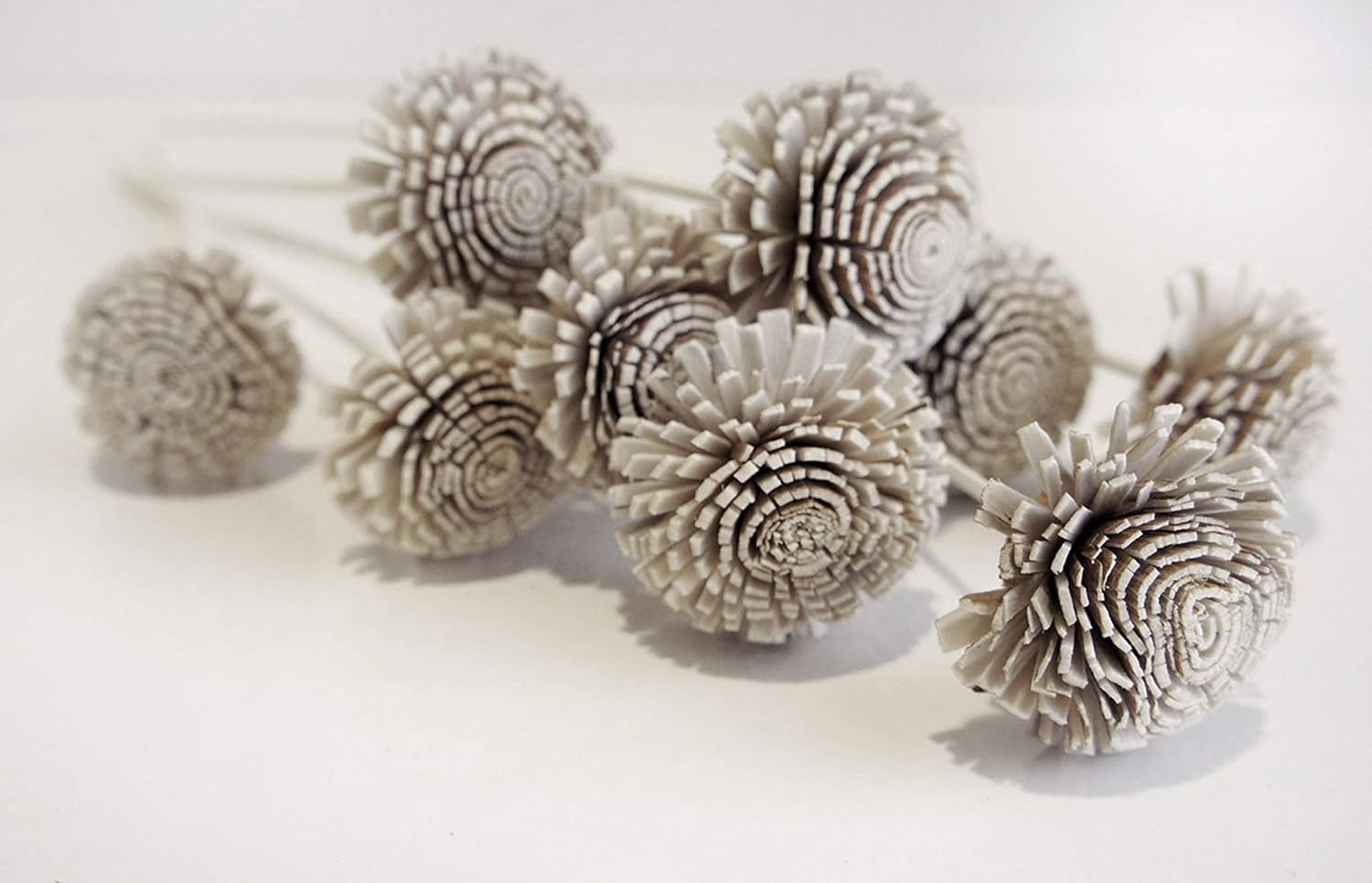 10 Buttercup Sola Flower Reed Diffusers for Home Fragrance