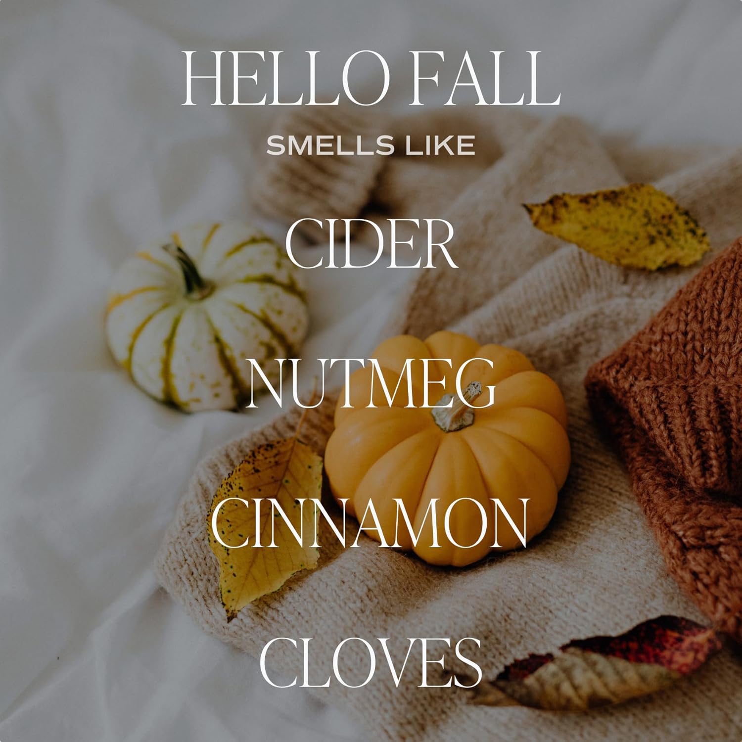 Sweet Water Decor Hello Fall Reed Diffuser Set