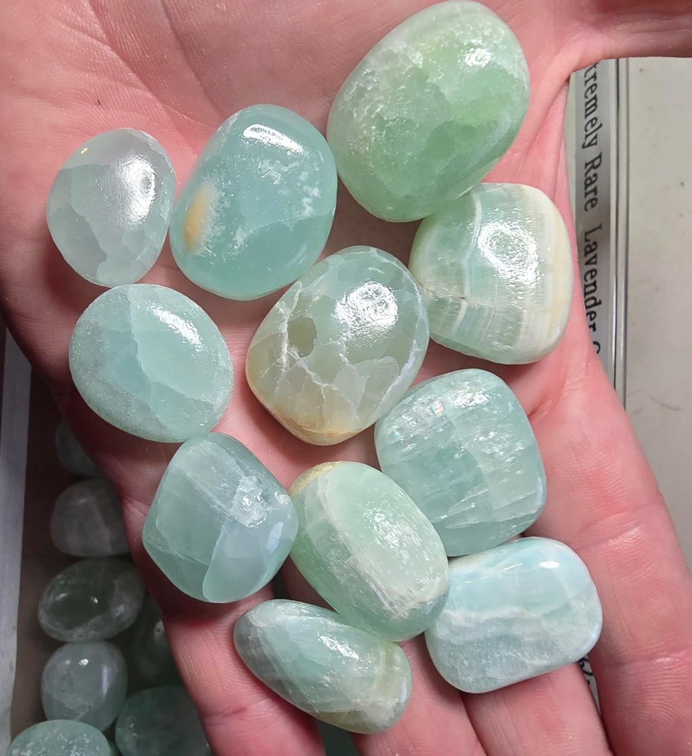 1pc Pistachio Green Calcite Tumbled Healing Crystal from Turkey