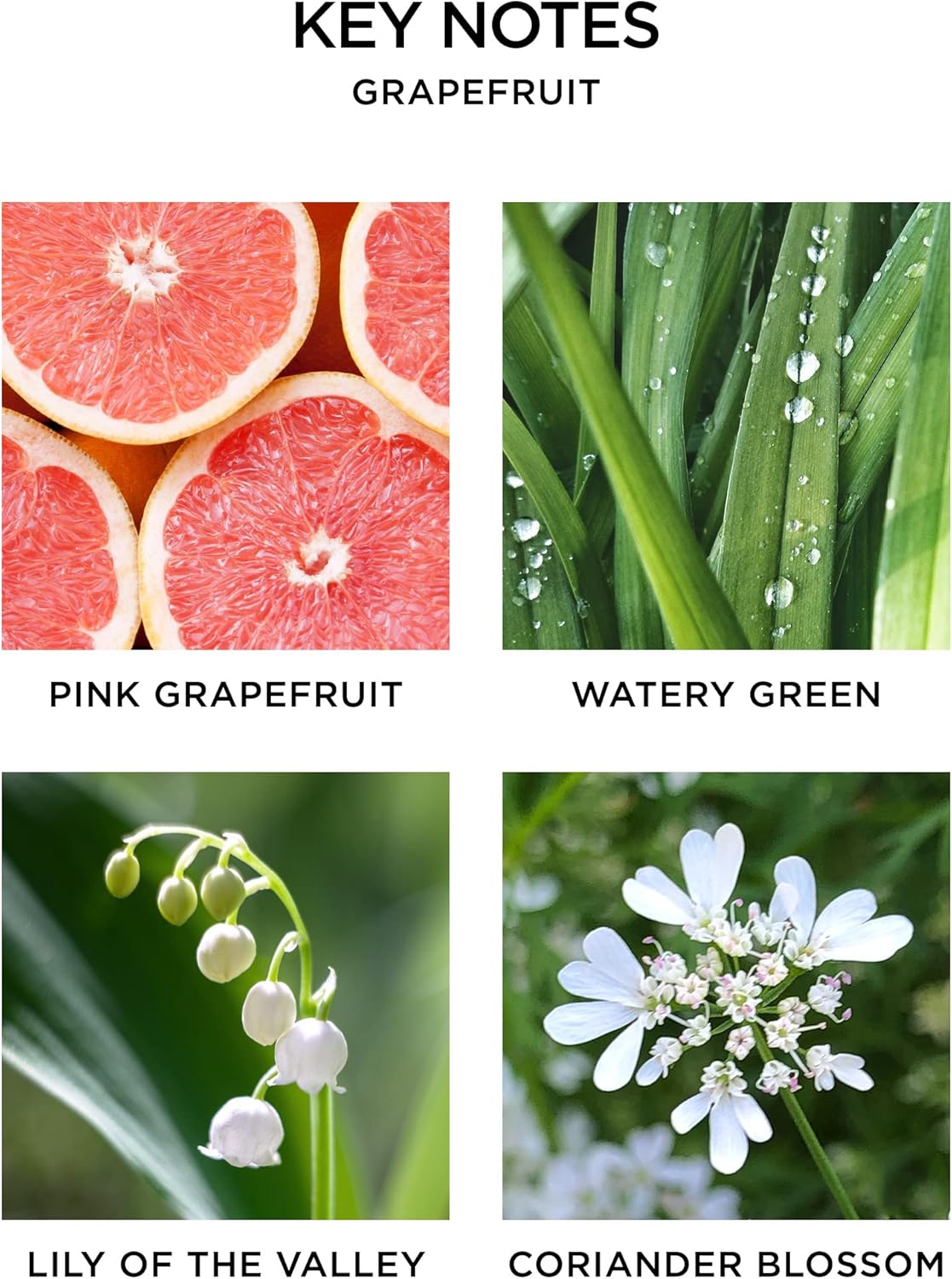 NEST New York Grapefruit Scented Candle Diffuser Set