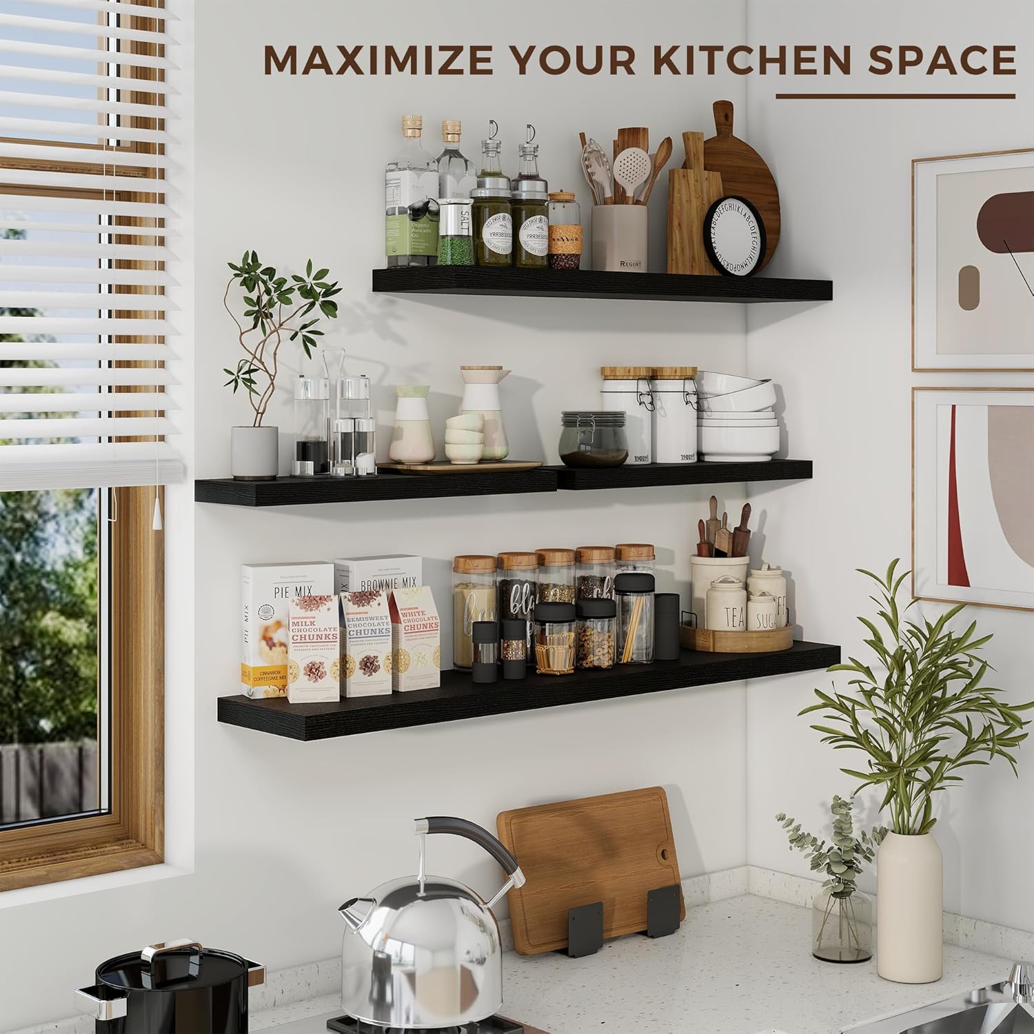 Dreamland 24 Inch Floating Shelves Set of 2 Black